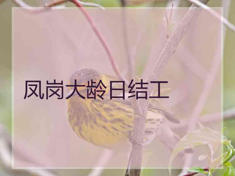 凤岗大龄日结工