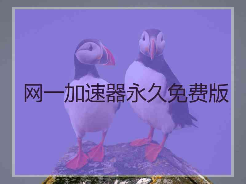 网一加速器永久免费版
