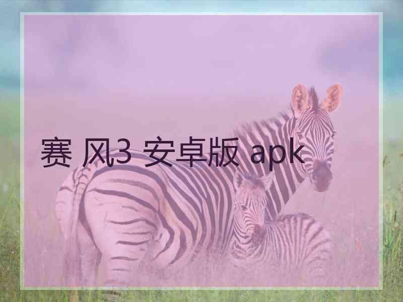 赛 风3 安卓版 apk