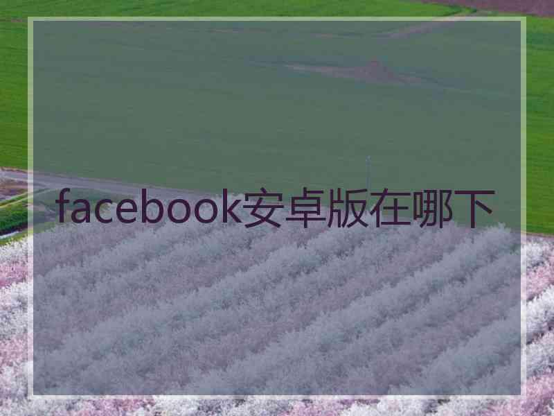 facebook安卓版在哪下