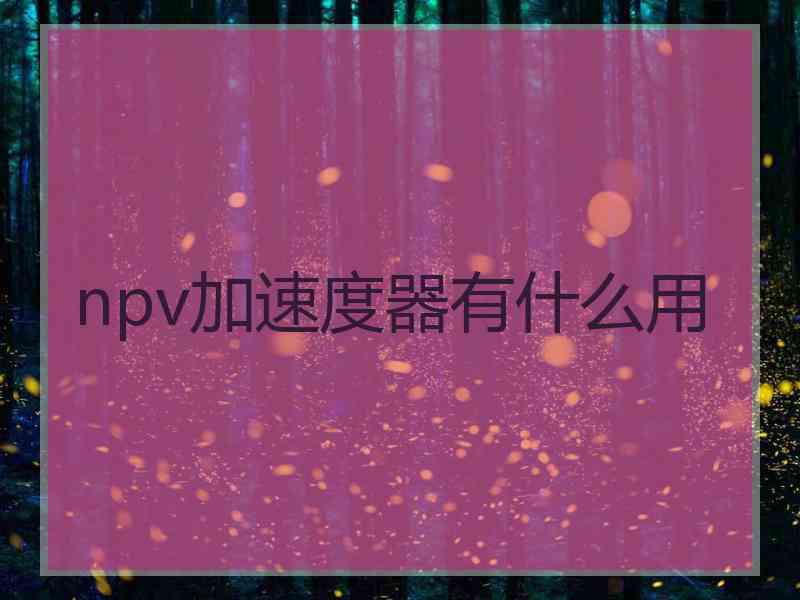 npv加速度器有什么用