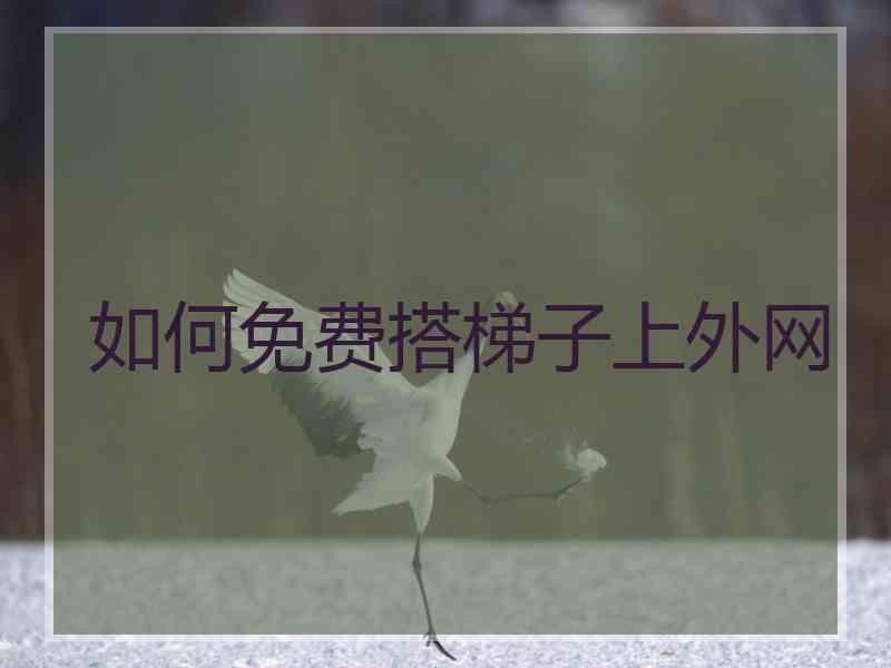 如何免费搭梯子上外网