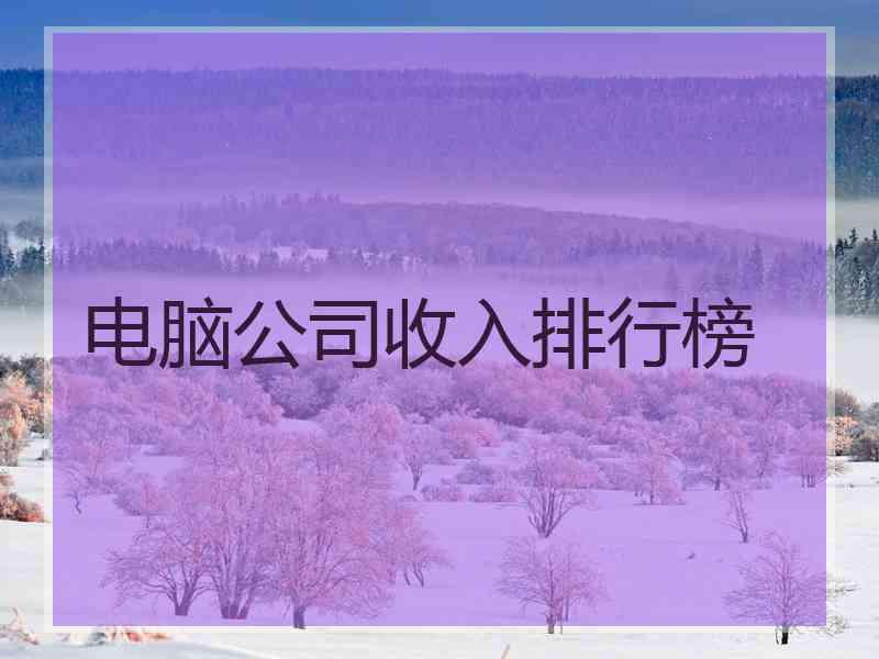 电脑公司收入排行榜