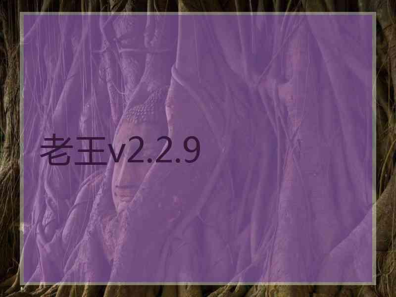 老王v2.2.9