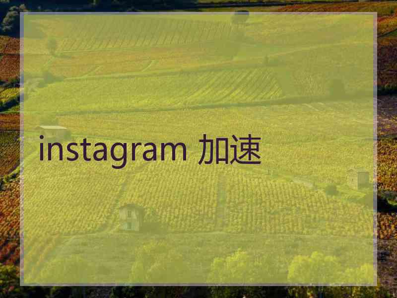 instagram 加速