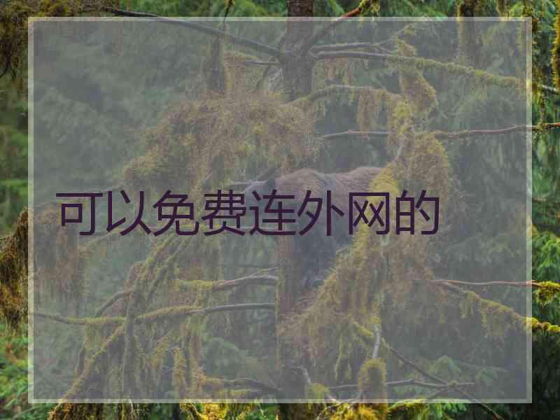 可以免费连外网的