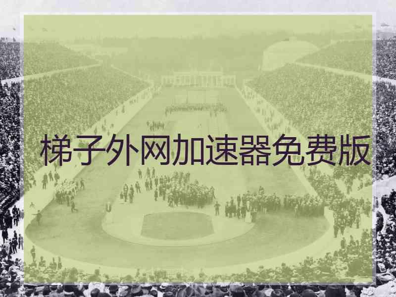 梯子外网加速器免费版