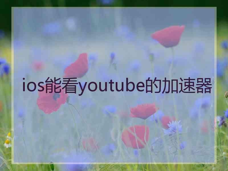 ios能看youtube的加速器