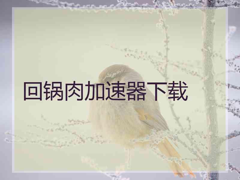 回锅肉加速器下载