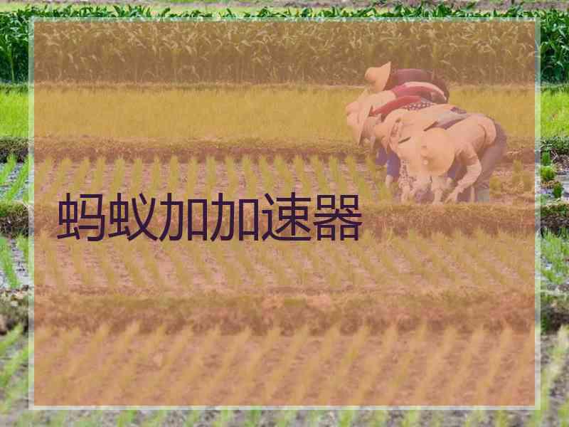 蚂蚁加加速器