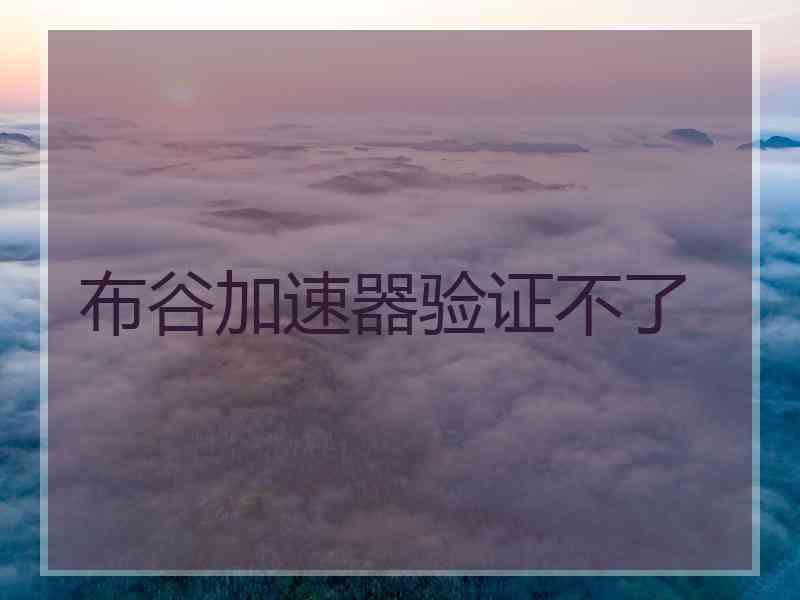 布谷加速器验证不了