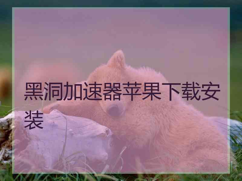 黑洞加速器苹果下载安装
