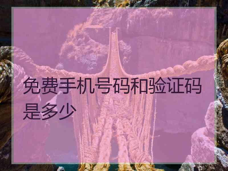 免费手机号码和验证码是多少