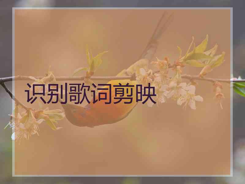 识别歌词剪映