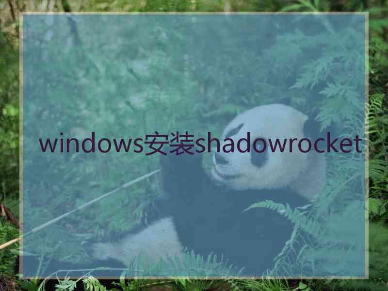 windows安装shadowrocket
