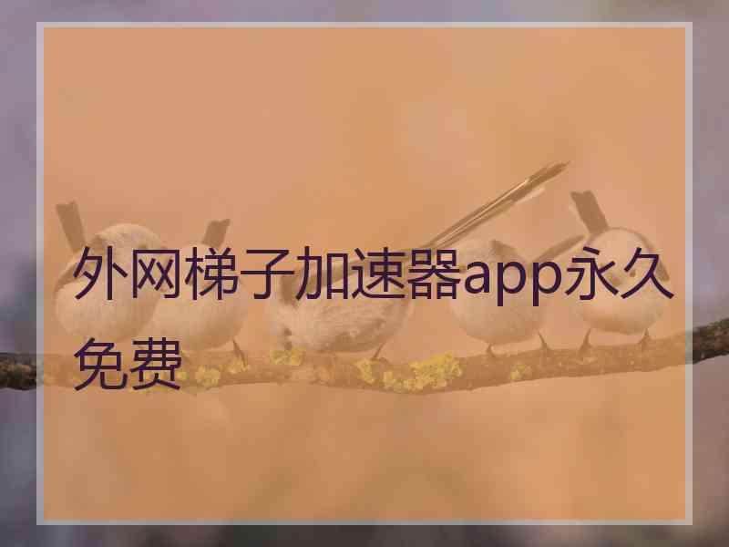 外网梯子加速器app永久免费
