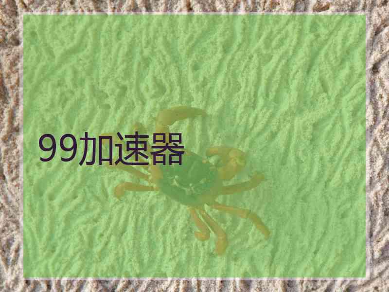 99加速器