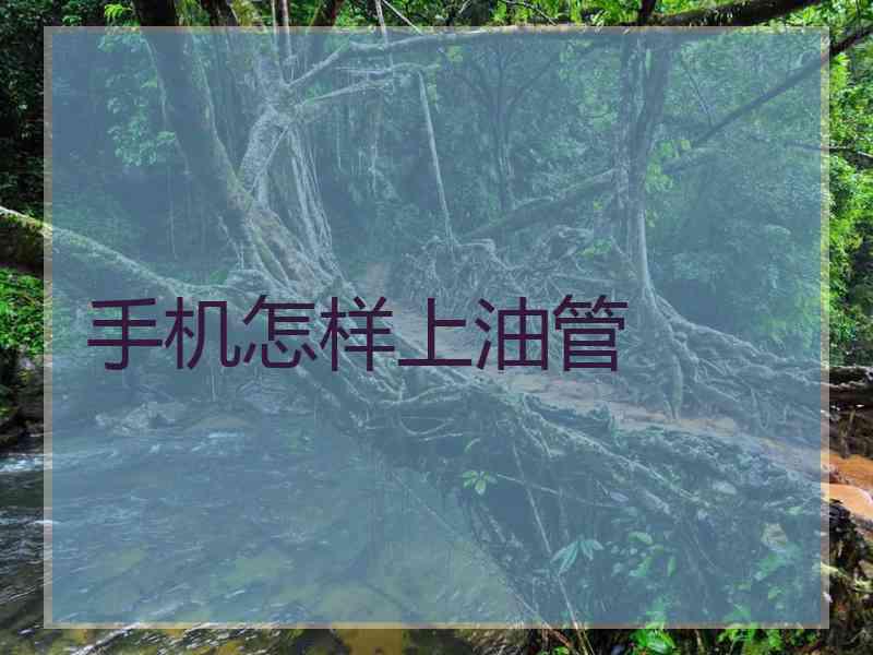 手机怎样上油管