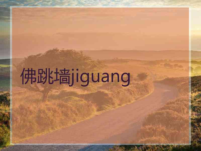 佛跳墙jiguang