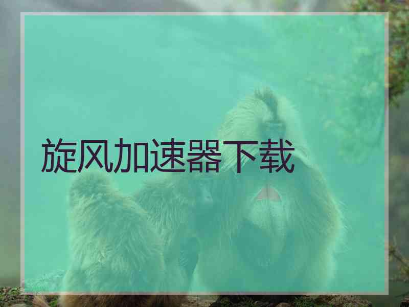 旋风加速器下载