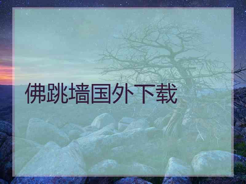 佛跳墙国外下载