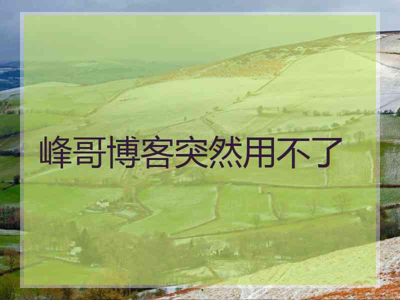 峰哥博客突然用不了