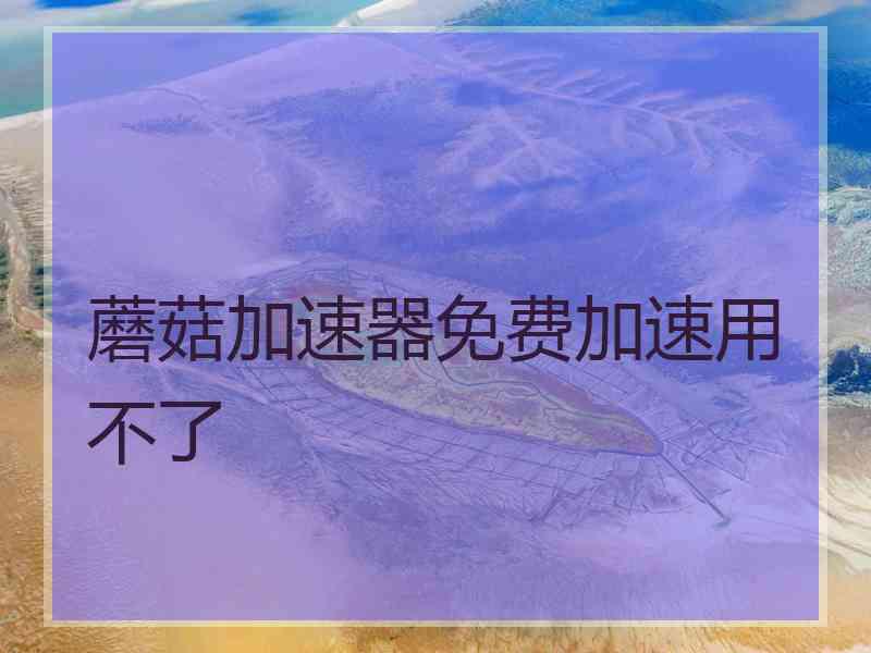 蘑菇加速器免费加速用不了