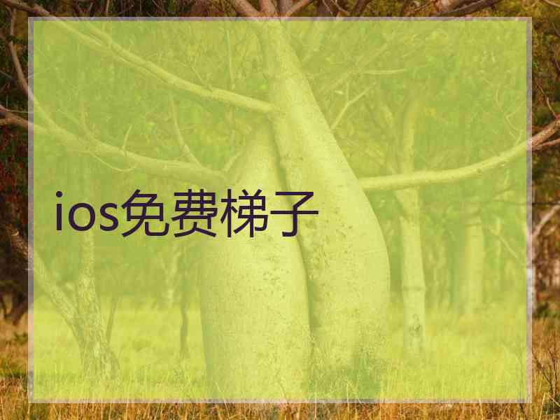 ios免费梯子