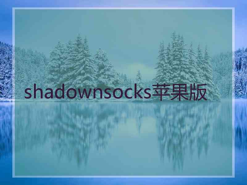 shadownsocks苹果版