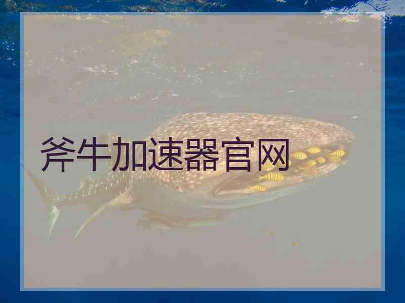 斧牛加速器官网