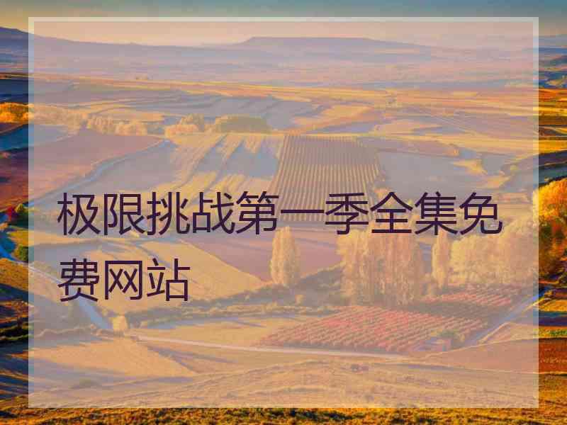 极限挑战第一季全集免费网站