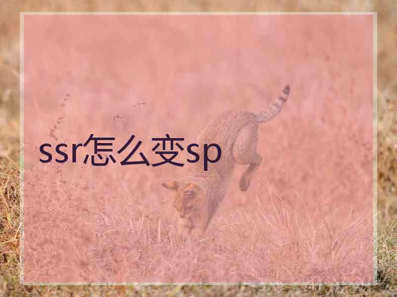 ssr怎么变sp