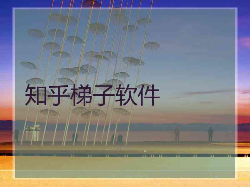 知乎梯子软件