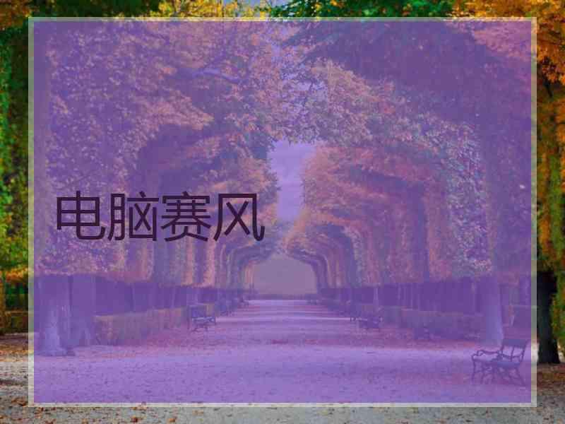 电脑赛风