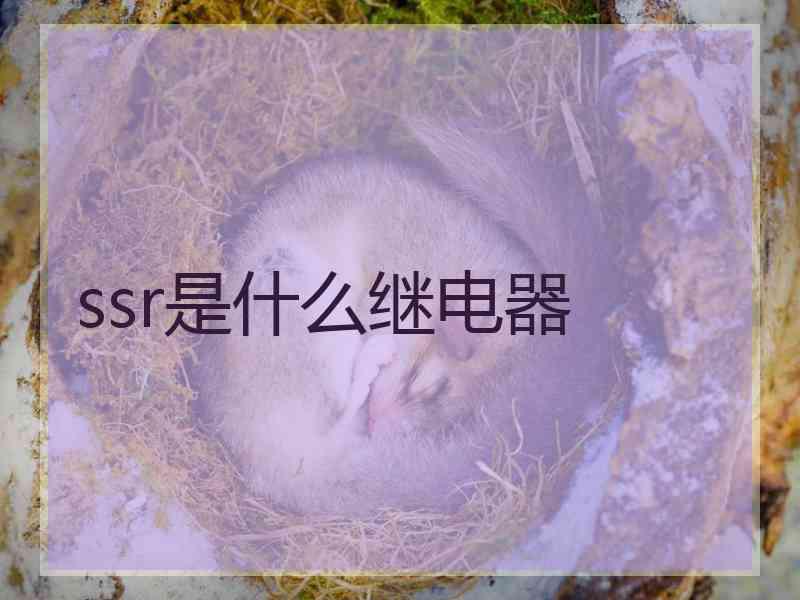 ssr是什么继电器