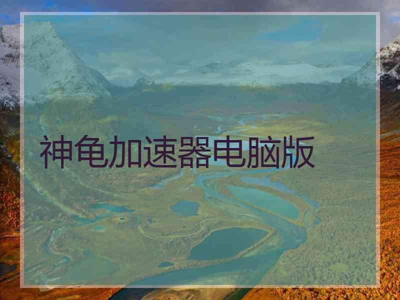 神龟加速器电脑版