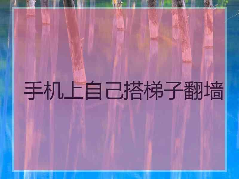 手机上自己搭梯子翻墙