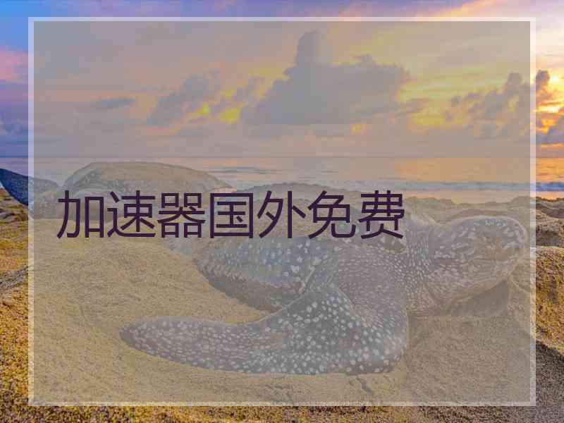 加速器国外免费