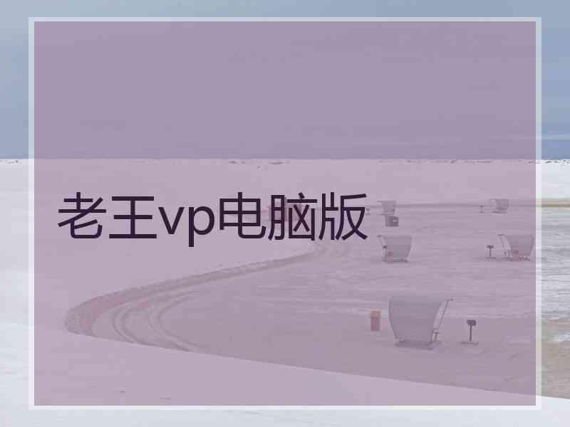 老王vp电脑版