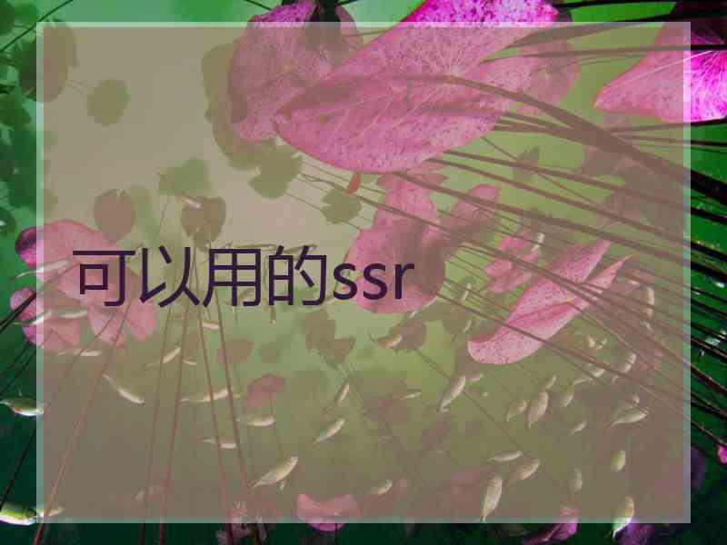 可以用的ssr