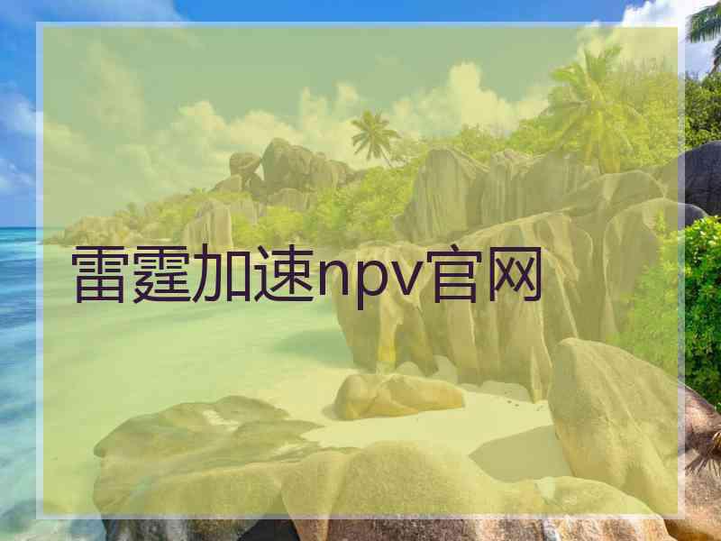 雷霆加速npv官网