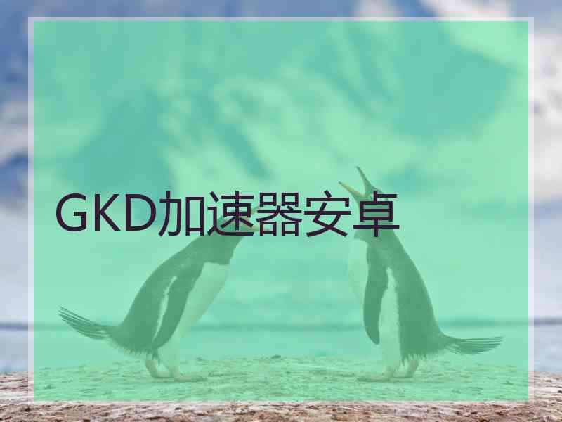 GKD加速器安卓