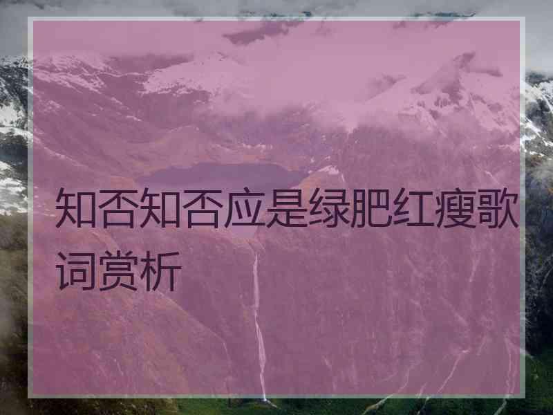 知否知否应是绿肥红瘦歌词赏析