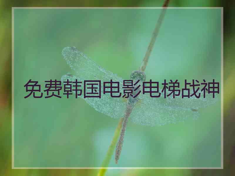 免费韩国电影电梯战神