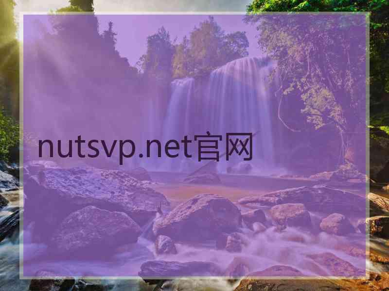 nutsvp.net官网
