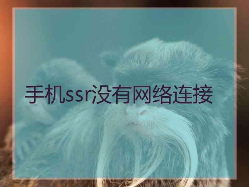手机ssr没有网络连接