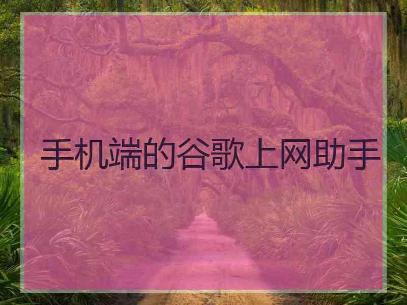 手机端的谷歌上网助手
