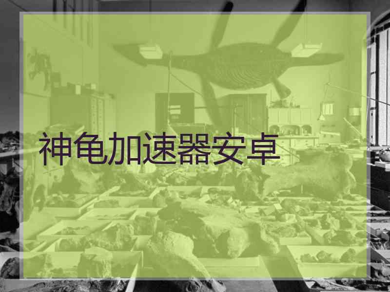 神龟加速器安卓