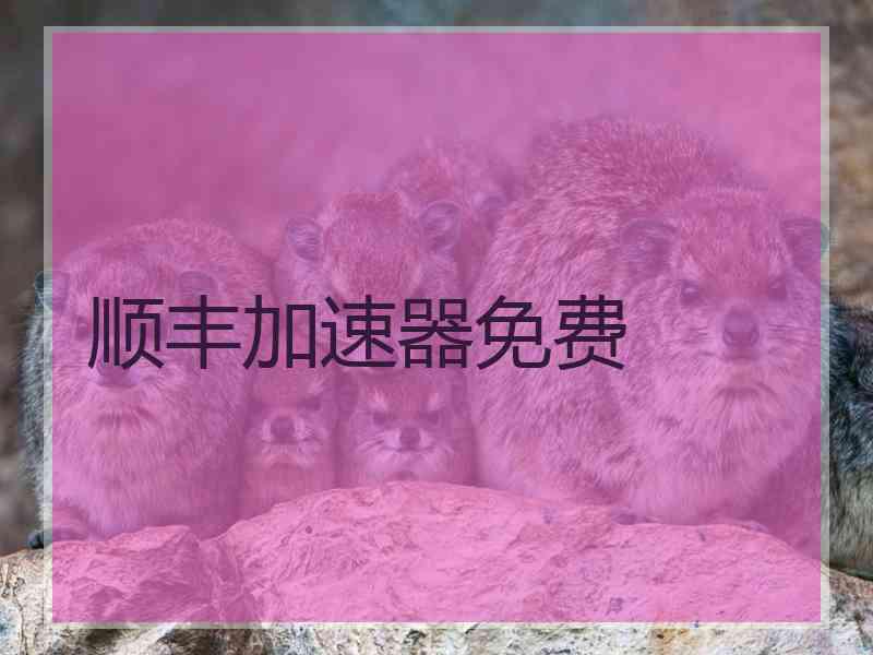 顺丰加速器免费