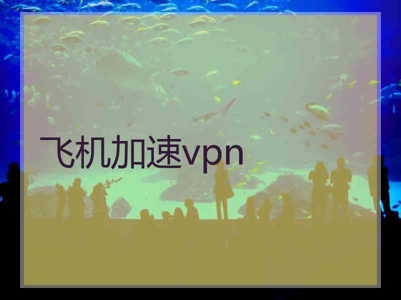 飞机加速vpn